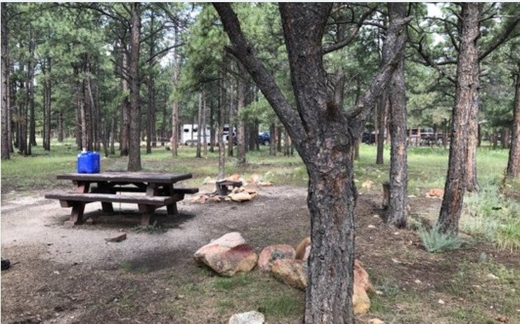 Camper submitted image from Mccrystal Campground - 3