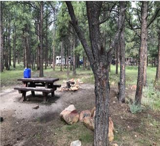 Camper-submitted photo from Mccrystal Campground