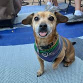 Review photo of Encore Suni Sands by Tracy M., March 19, 2023