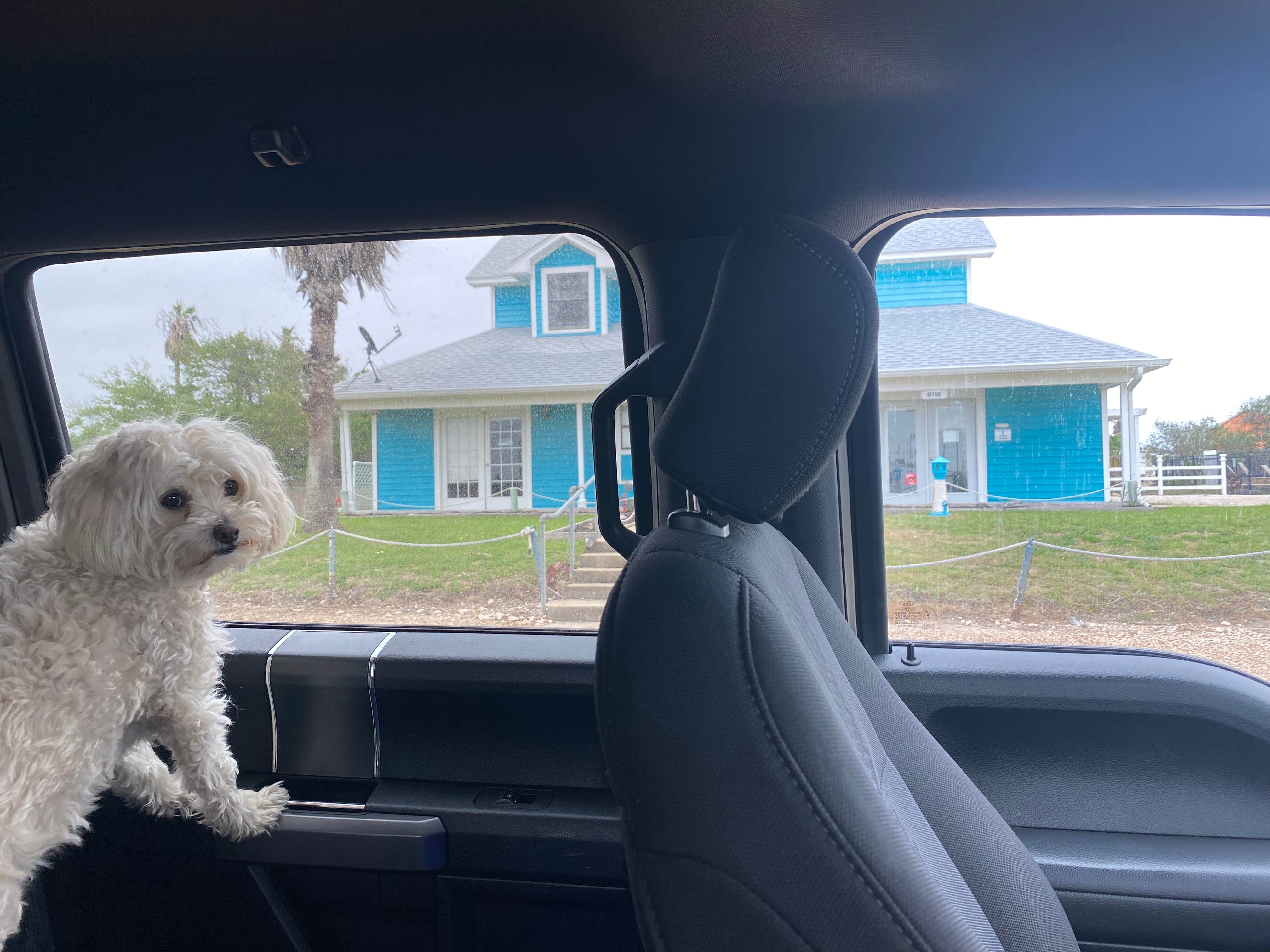 Camper-submitted photo at Serendipity Bay RV Resort near Edna, TX
