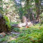 Review photo of Lost Lake Resort And Campground — Mt. Hood National Forest by Jill T., September 30, 2018