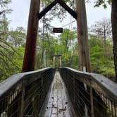 Review photo of Dogwood Campground — O'Leno State Park by Kiva R., March 18, 2023