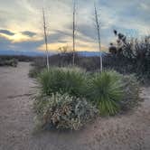 Review photo of Hot Well Dunes Recreation Area by Rachel C., March 19, 2023