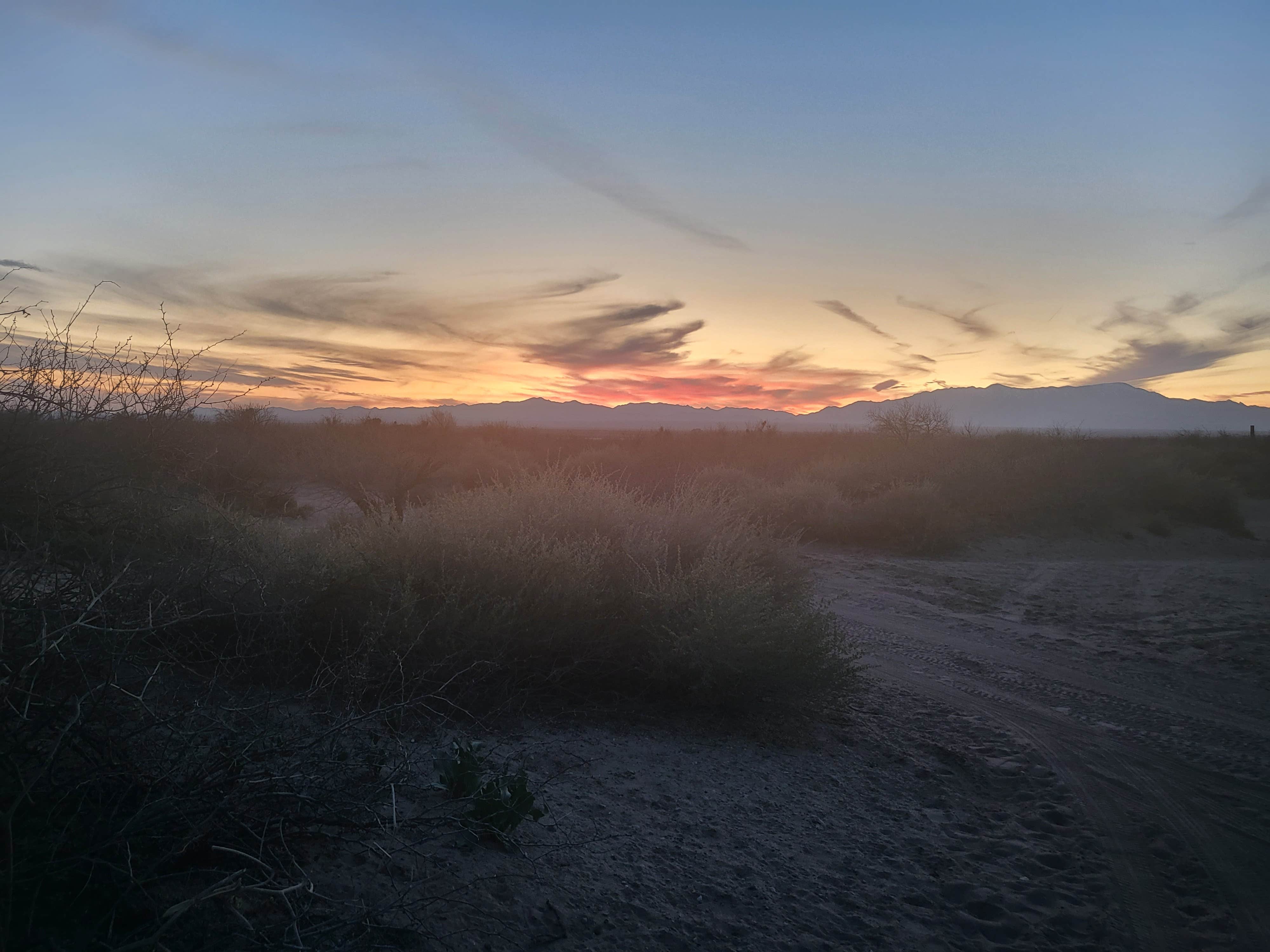 Camper submitted image from Hot Well Dunes Recreation Area - 1