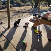 Review photo of Aquirre Springs Campground by Rachel C., March 19, 2023