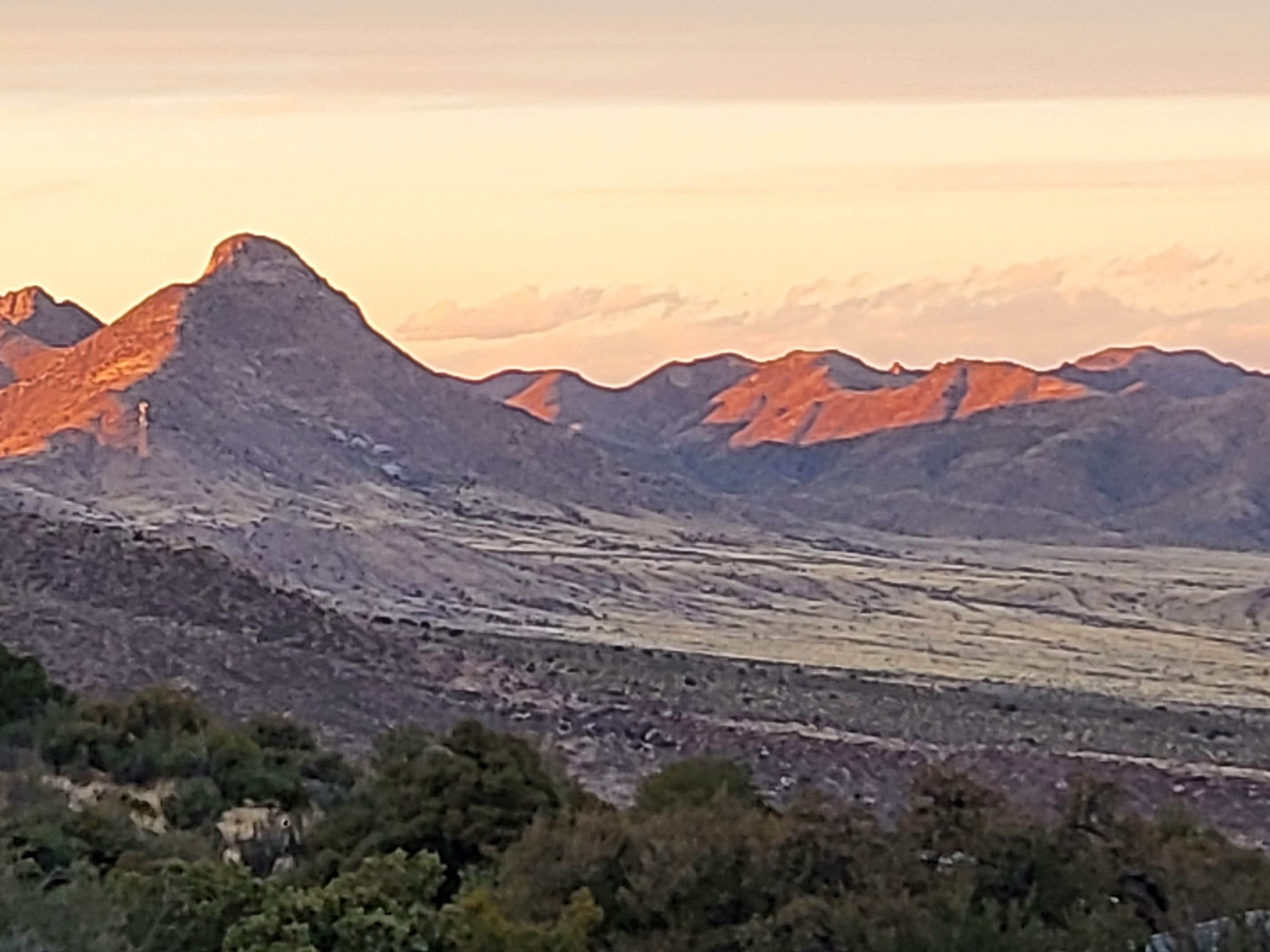 Camper submitted image from Aquirre Springs Campground - 1