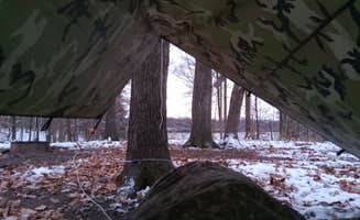 Nate A.'s photo at Glendale State Fish and Wildlife Area near Dugger, IN