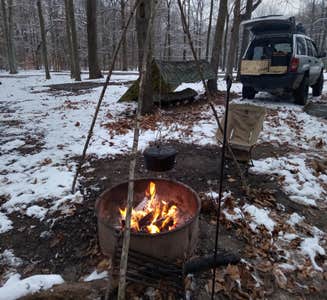 Camper-submitted photo from Martin State Forest