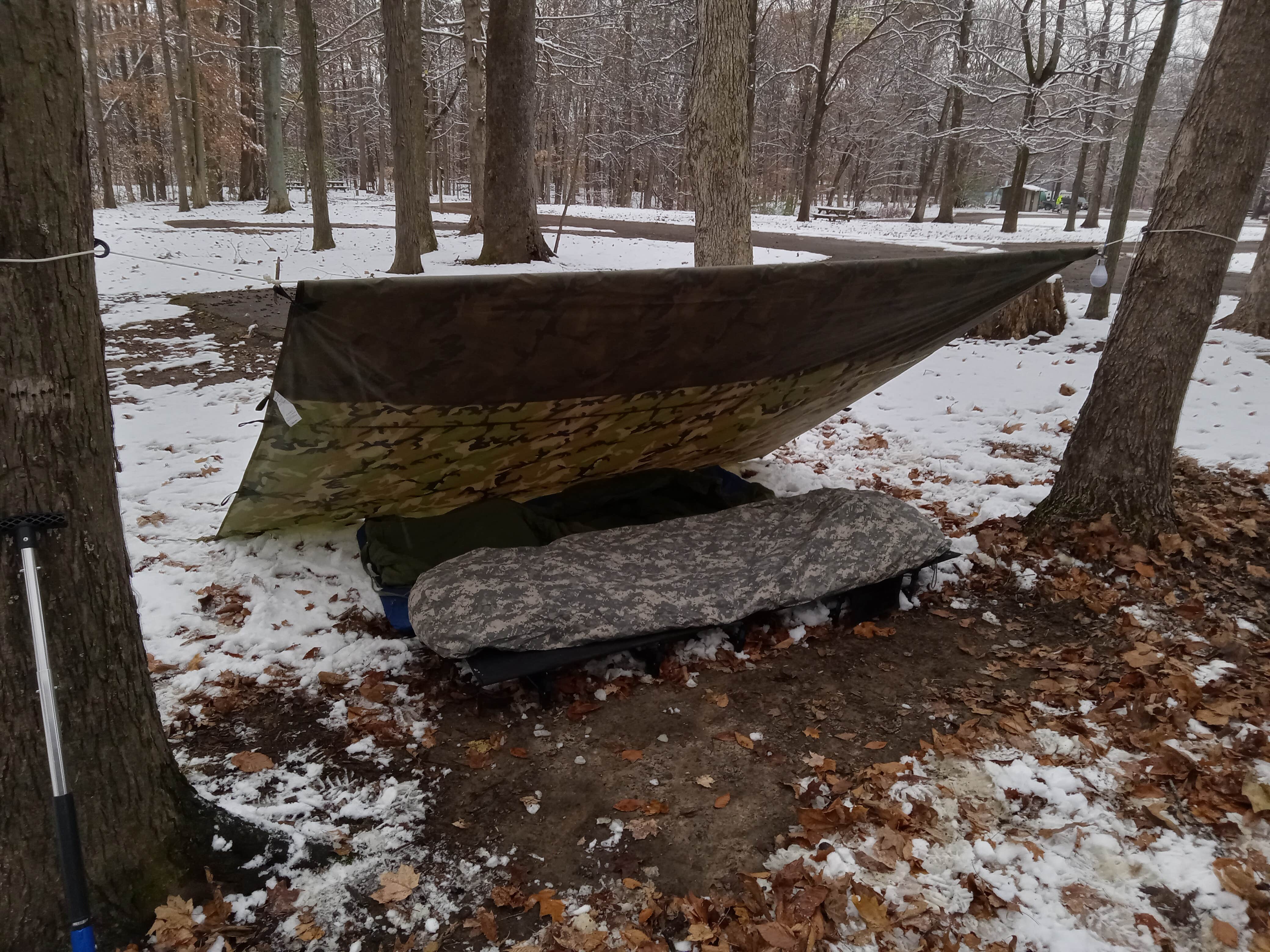 Camper-submitted photo at Glendale State Fish and Wildlife Area near Winslow, IN