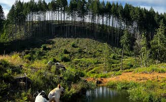 Joan's photo of camping with pets at Shangri-la Sanctuary near Springfield, OR