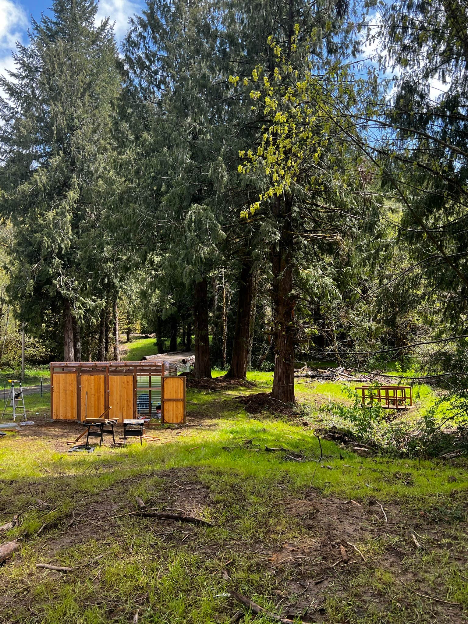 Joan's photo of a cabin at Shangri-la Sanctuary near Monroe, OR