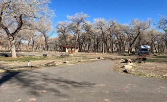 Neil T.'s photo of camping with pets at Cottonwood Campground near Chinle, AZ