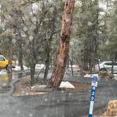 Review photo of Mather Campground — Grand Canyon National Park by Neil T., March 20, 2023