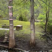 Review photo of Suwannee River Rendezvous Resort by Stacey S., March 20, 2023