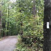 Review photo of Don Carter State Park Campground by Crystal C., October 1, 2018