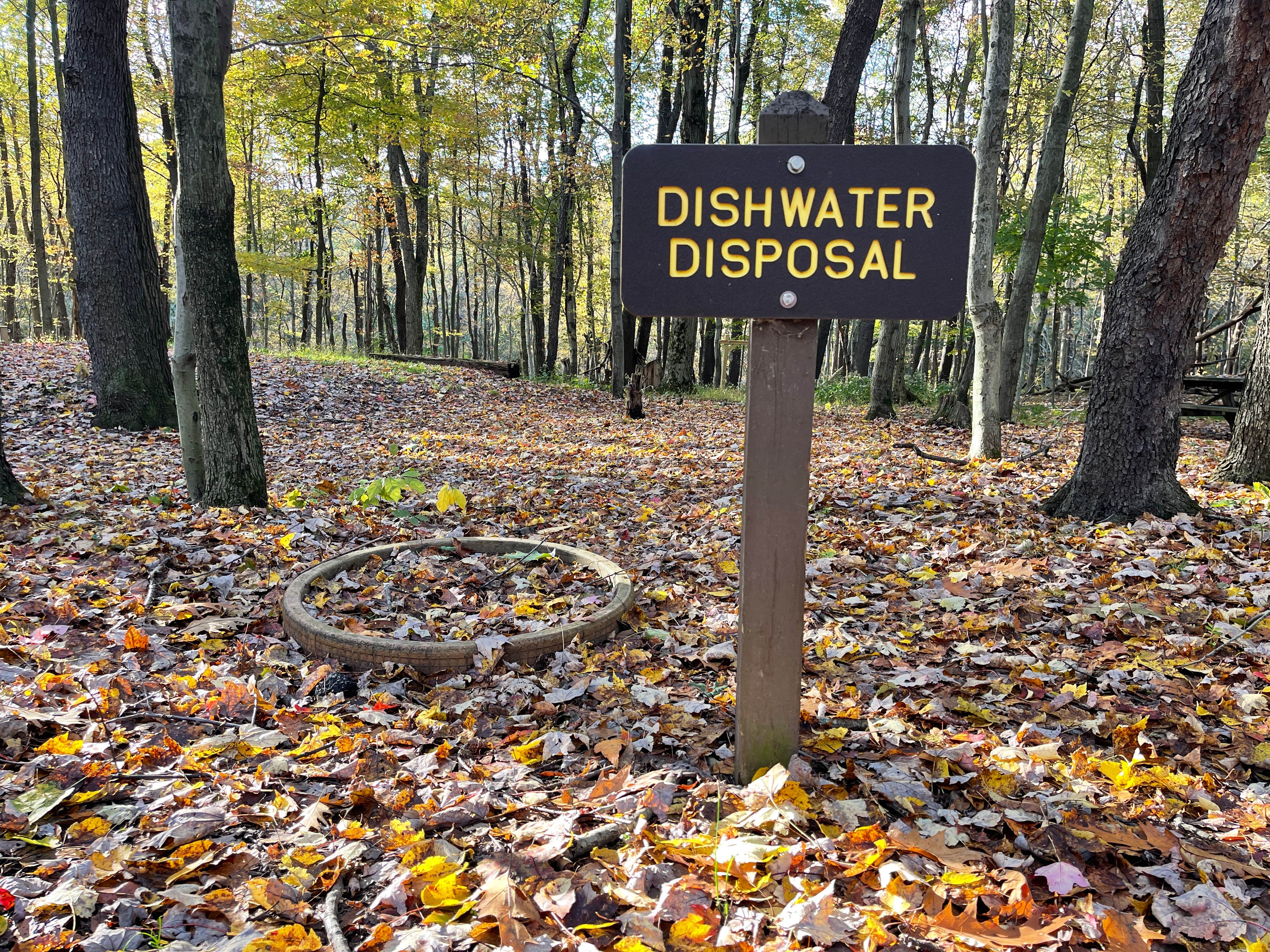Camper submitted image from Tomlinson Run State Park Campground - 5
