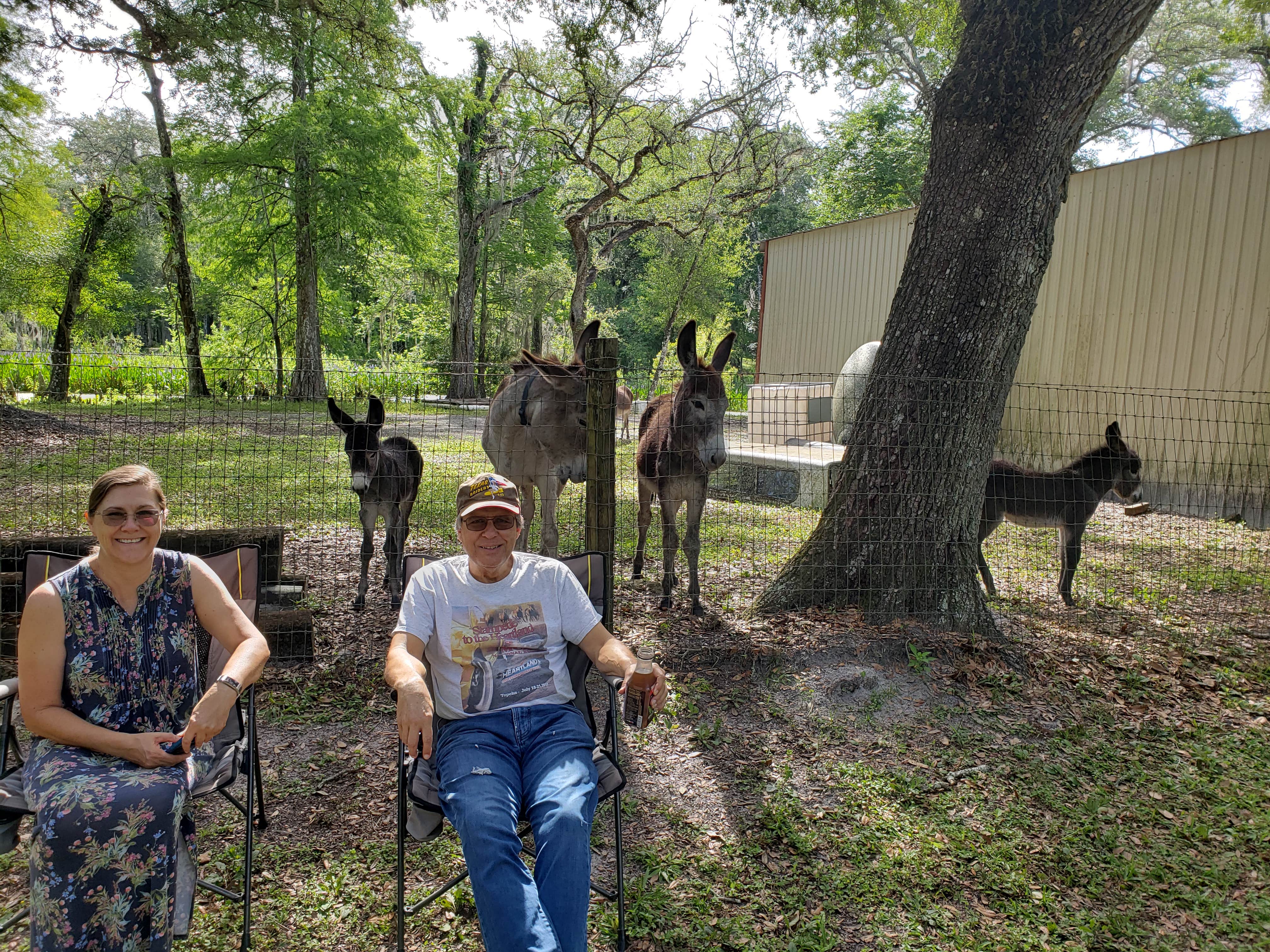 Susan B.'s photo of camping with pets at Sumter Oaks RV Park near Trilby, FL