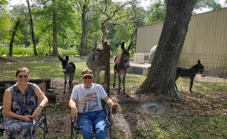 Susan B.'s photo of camping with pets at Sumter Oaks RV Park near Webster, FL