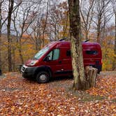 Review photo of Hickory Ridge Campground — Grayson Highlands State Park by Lee D., March 20, 2023