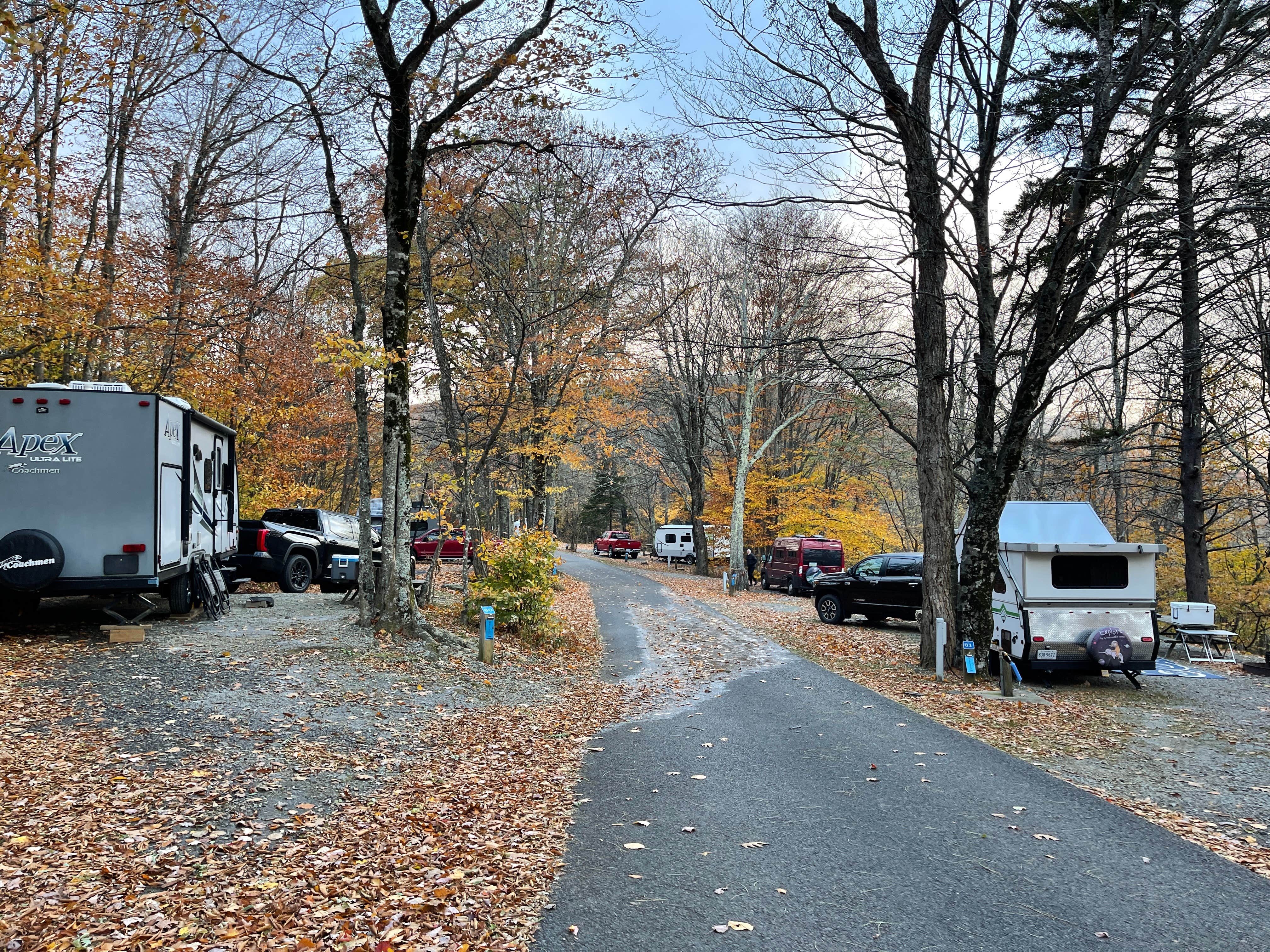 Lee D.'s photo of rv camping at Hickory Ridge Campground — Grayson Highlands State Park near North Tazewell, VA