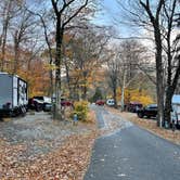 Review photo of Hickory Ridge Campground — Grayson Highlands State Park by Lee D., March 20, 2023