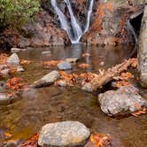 Review photo of Hickory Ridge Campground — Grayson Highlands State Park by Lee D., March 20, 2023