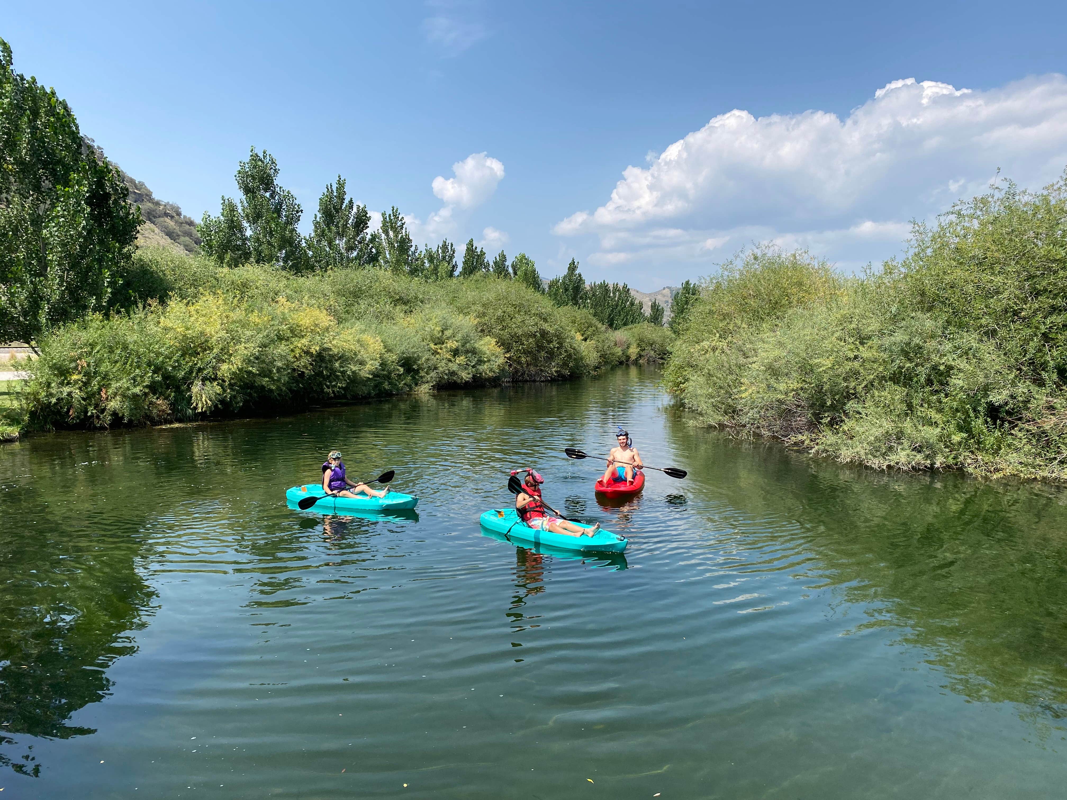 Camper-submitted photo at Portneuf Bend Campground near Bancroft, ID