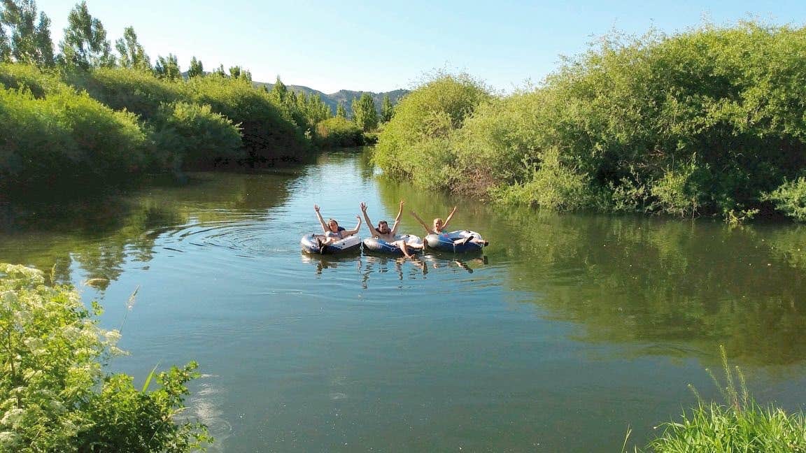 Camper submitted image from Portneuf Bend Campground - 5