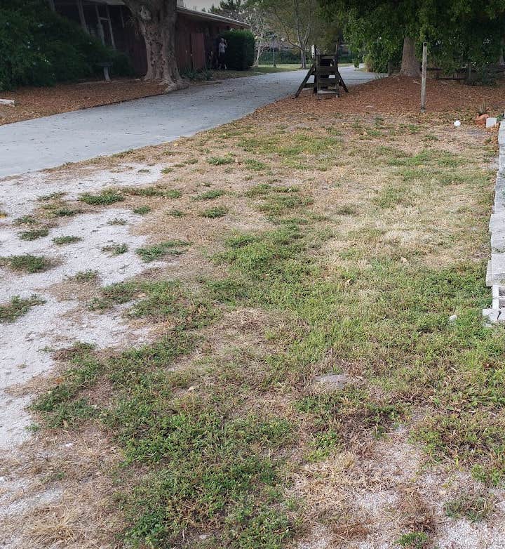 Camper-submitted photo at Bee Healthy Honey Farms near Ocean Ridge, FL