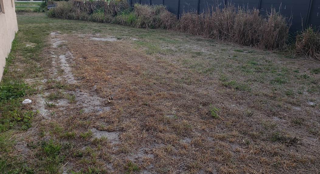 Camper-submitted photo at Bee Healthy Honey Farms near Ocean Ridge, FL