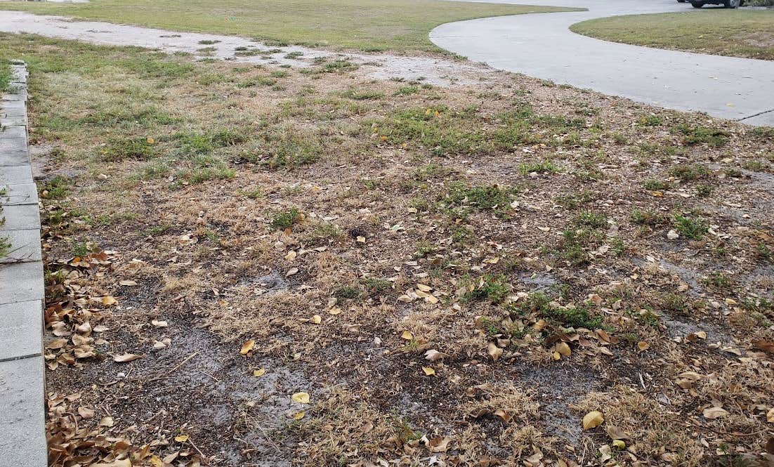 Camper-submitted photo at Bee Healthy Honey Farms near Ocean Ridge, FL