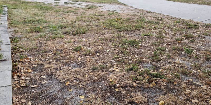 Camper submitted image from Bee Healthy Honey Farms