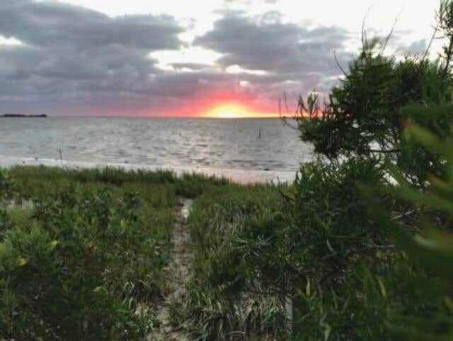 Camper submitted image from Eleanor Oaks RV Park - 2