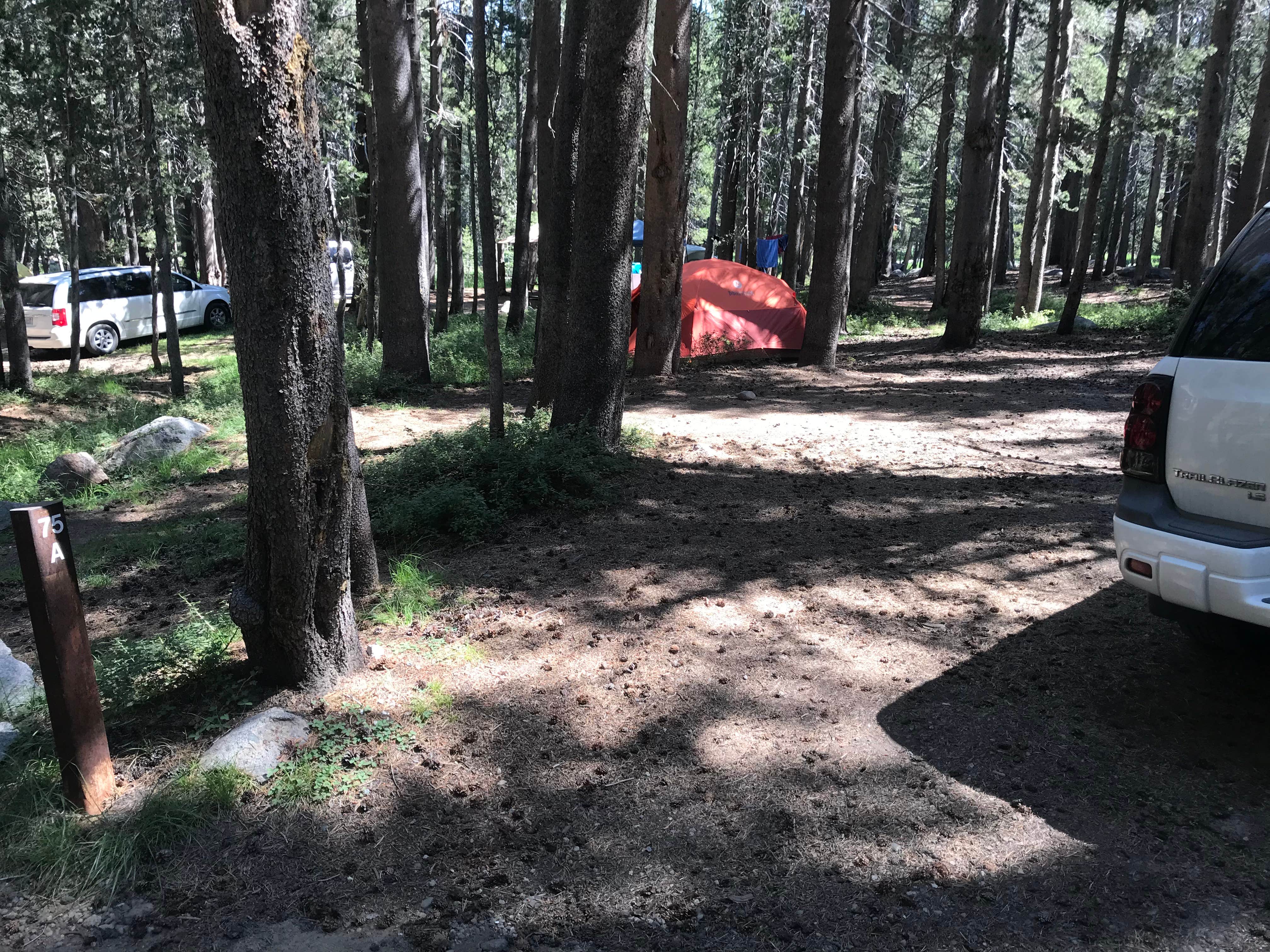 Dave V.'s photo at Coldwater Campground near Mammoth Lakes, CA
