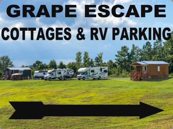 Jeff and Libby L.'s photo at Landry Vineyards Grape Escape RV Sites near Columbia, LA