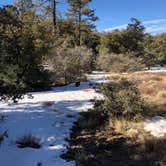 Review photo of Caballo Campground by jerod , March 21, 2023