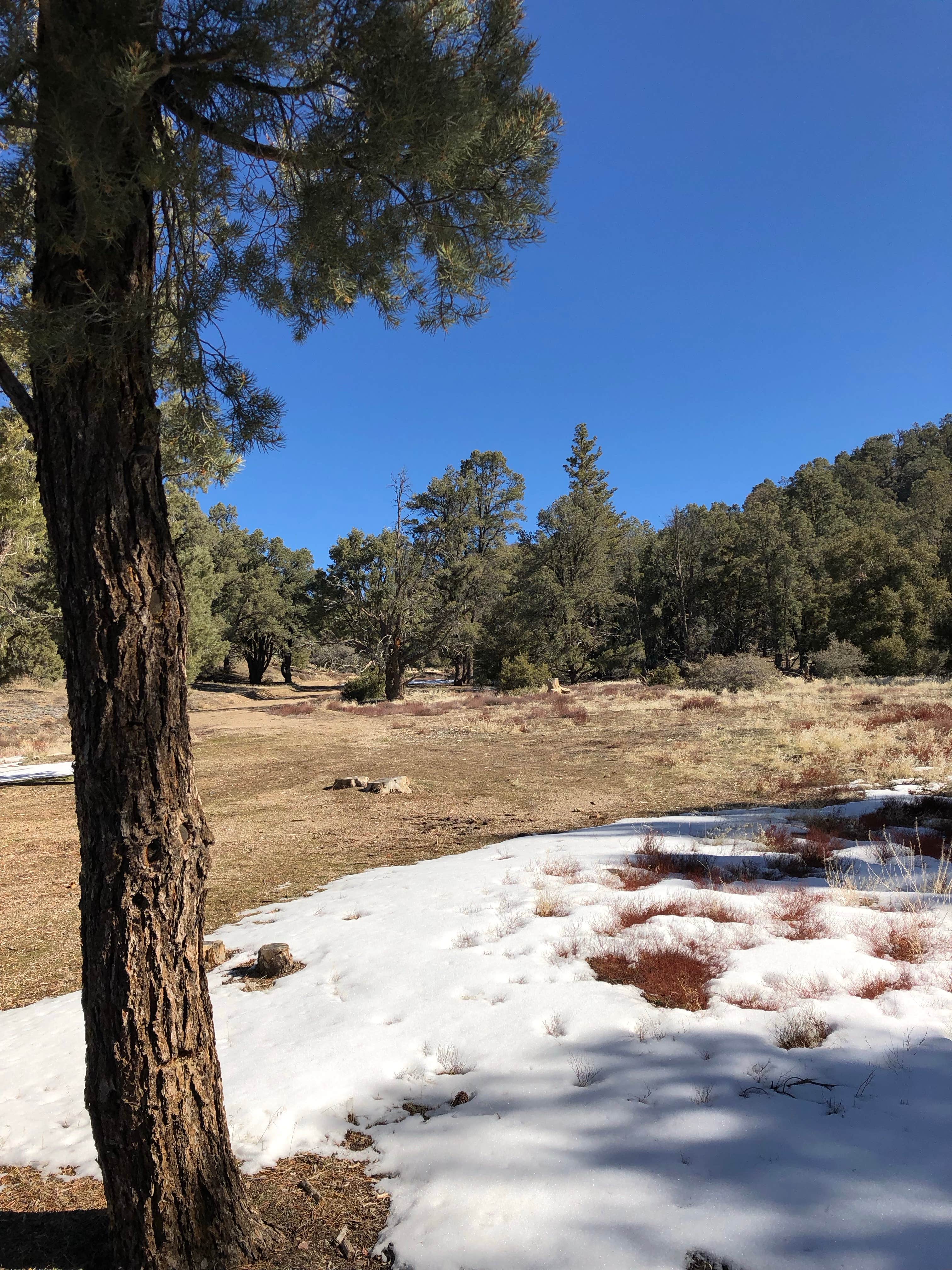 Camping near Bethany Pines: Caballo Campground, Pine Mountain Club, California