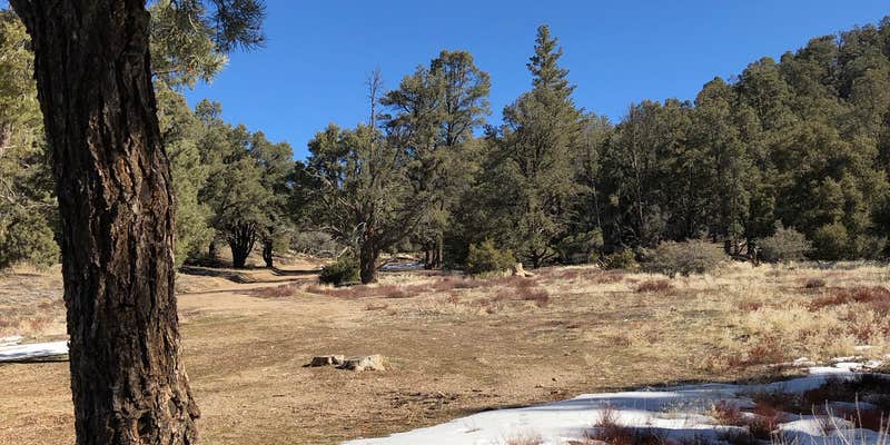 Camper submitted image from Caballo Campground