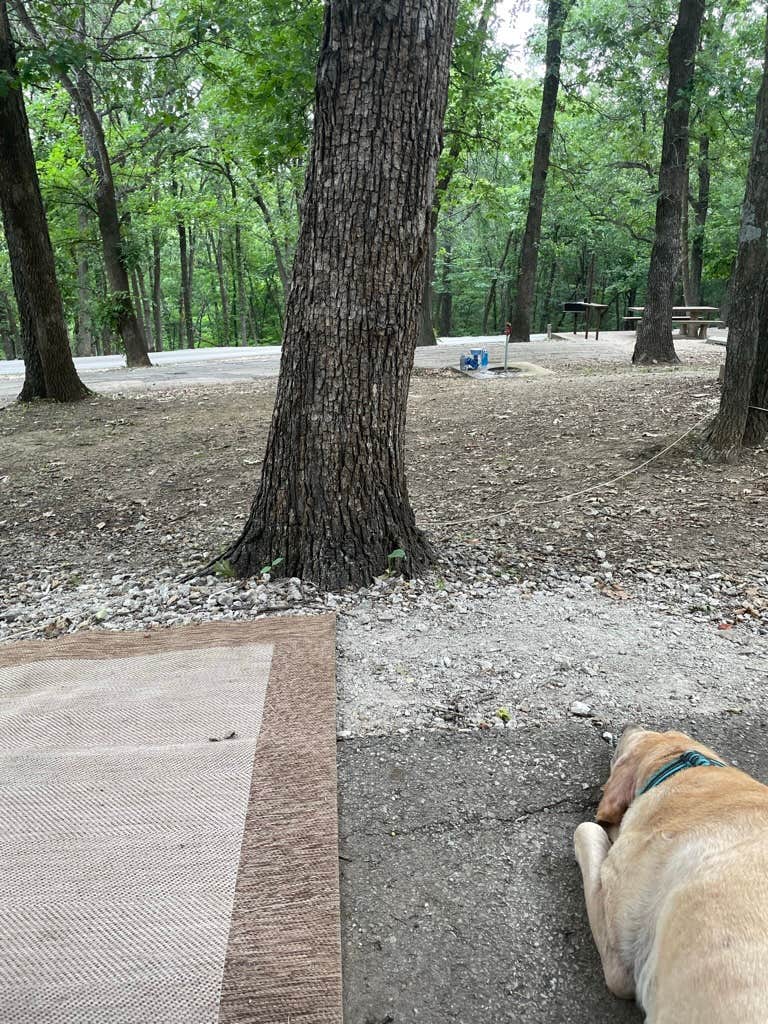 Levi H.'s photo of camping with pets at Big Hill Lake Mound Valley Recreation Area near Copan, OK
