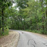 Review photo of Big Hill Lake Mound Valley Recreation Area by Levi H., March 21, 2023