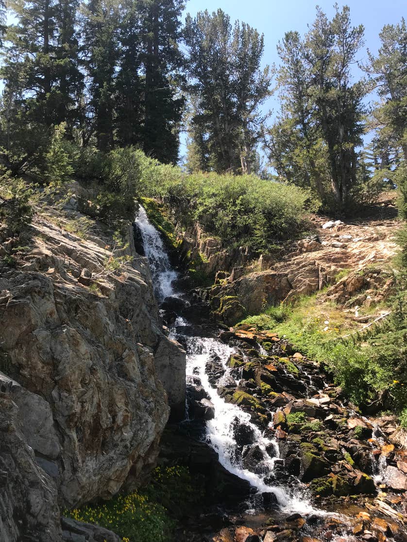 Coldwater Campground The Dyrt