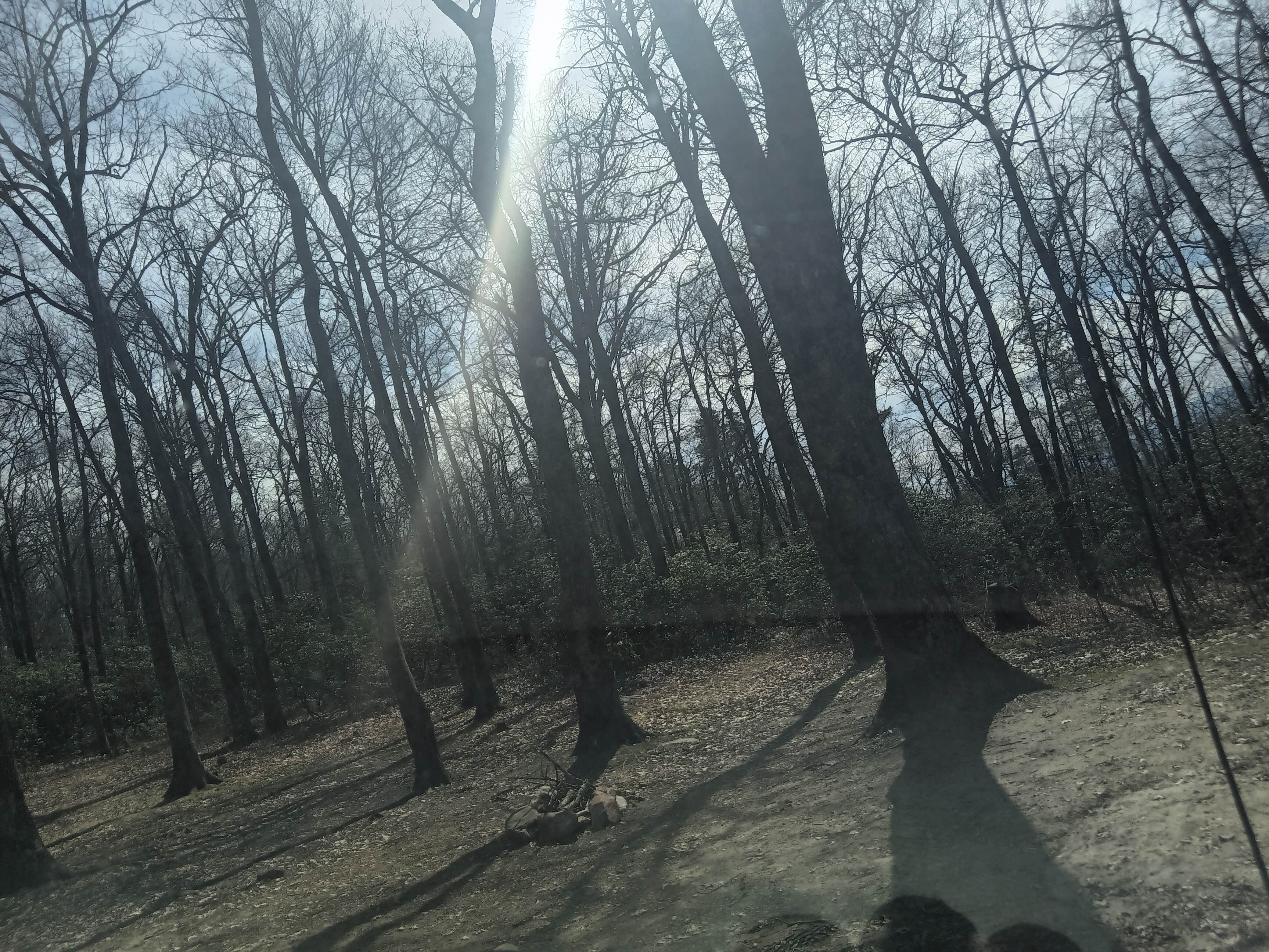 Arthur D.'s photo of a dispersed camping area at Linville Gorge Wilderness Dispersed Camping--Western Section, NC 128 he near Valdese, NC