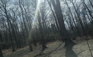 Arthur D.'s photo of a dispersed camping area at Linville Gorge Wilderness Dispersed Camping--Western Section, NC 128 he near Shady Valley, TN