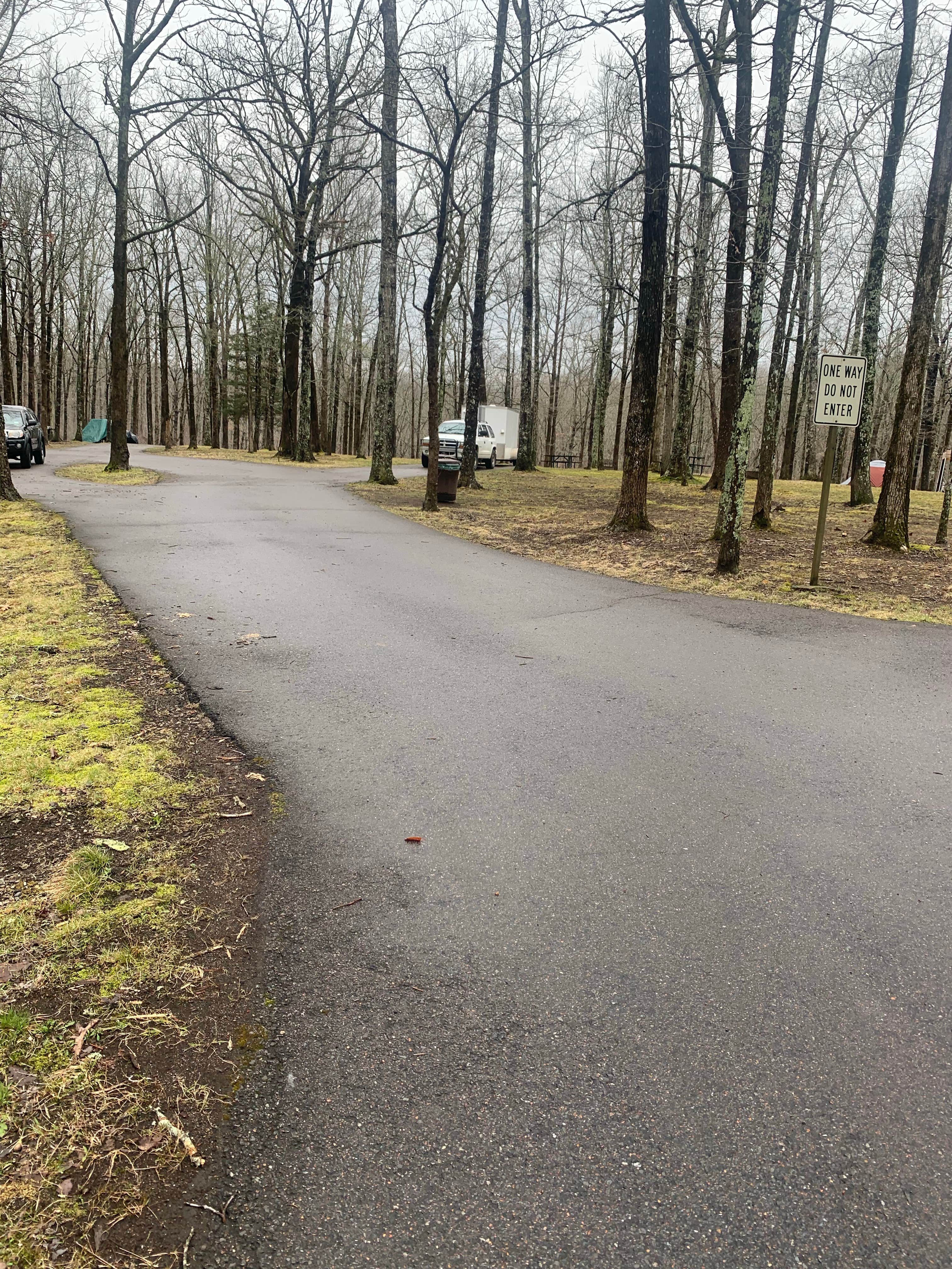 Michael W.'s photo of a dispersed camping area at Meriwether Lewis Campground near Elkmont, AL