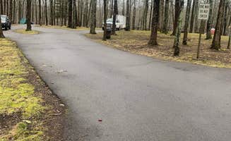 Michael W.'s photo of a dispersed camping area at Meriwether Lewis Campground near Culleoka, TN