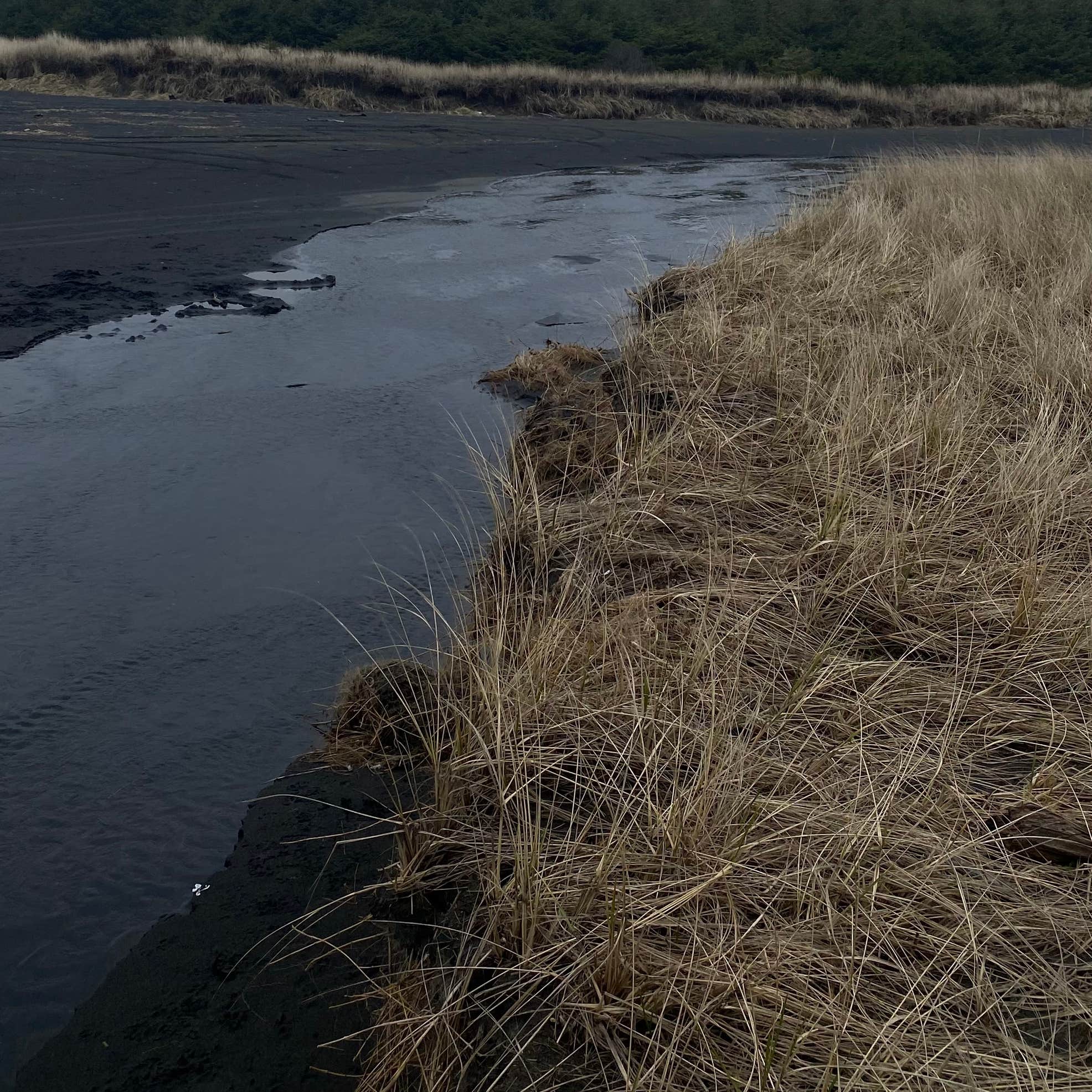Thousand Trails Long Beach Camping Seaview, WA