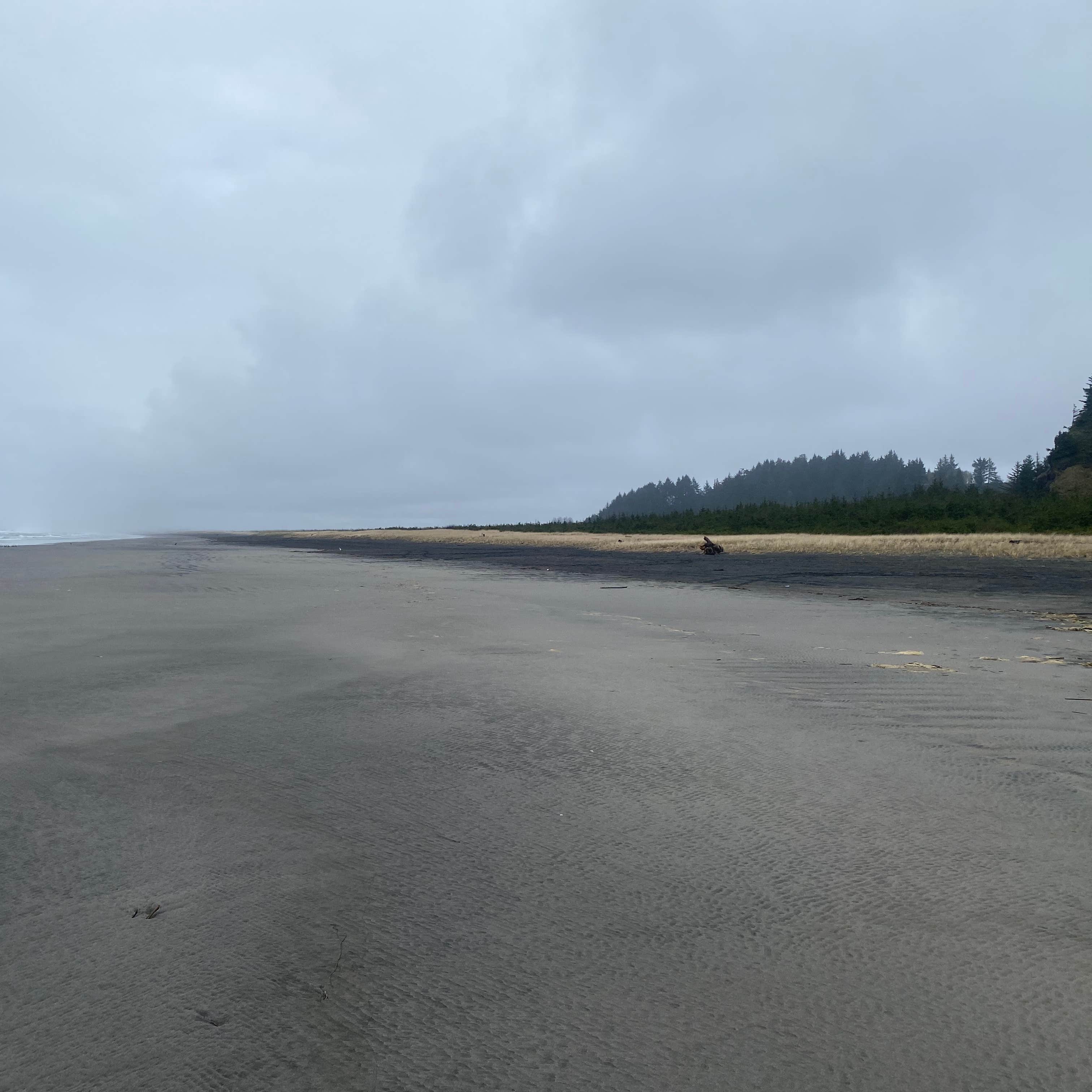 Thousand Trails Long Beach Camping Seaview, WA