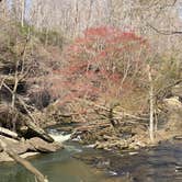 Review photo of Old Stone Fort State Archaeological Park by Elliot H., March 22, 2023