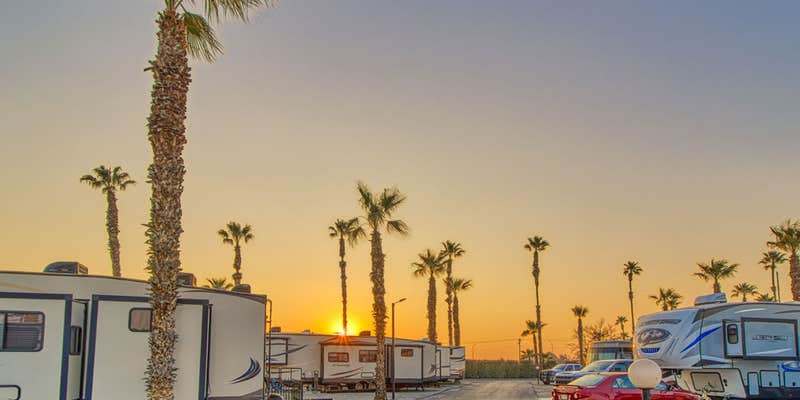 Camper submitted image from Shaded Haven RV Park