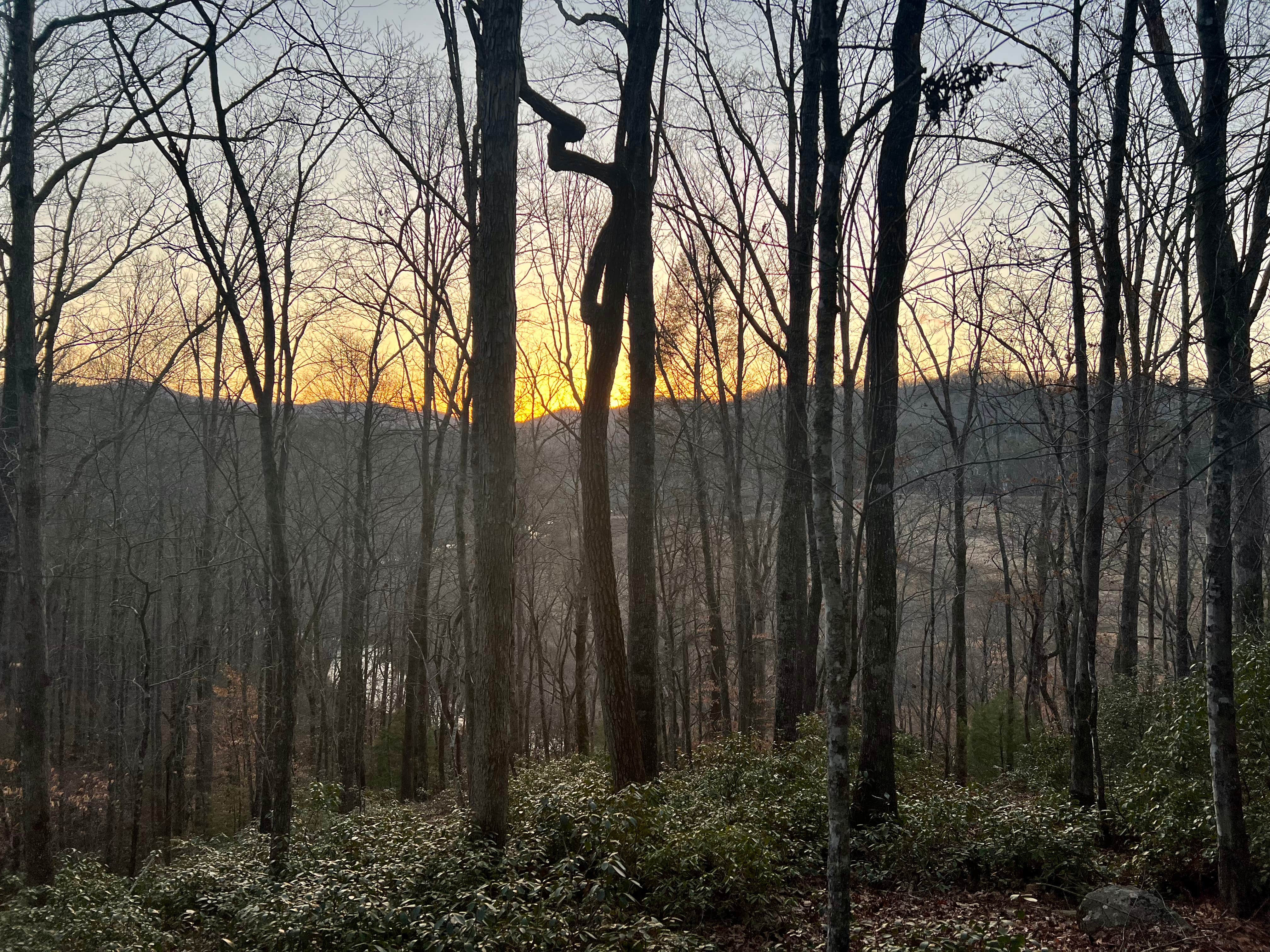 Camping near The Glamp Shack: Blue Ridge Camp, Morganton, Georgia